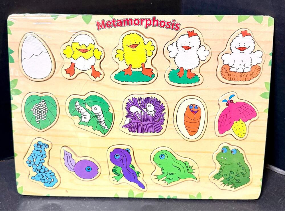 Wooden peg puzzle metamorphosis Chicken Butterfly & Frog new learning science